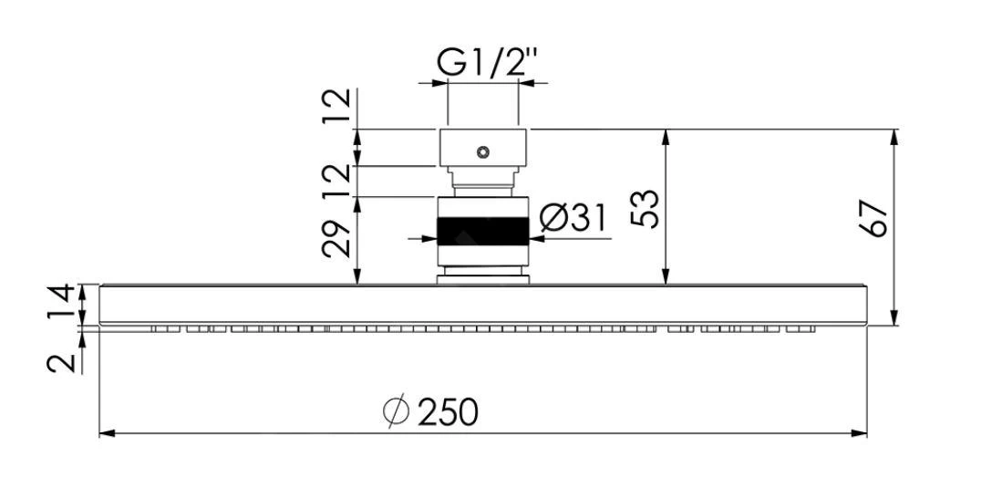 Steinberg 100 - Hoofddouche, Diameter 250 Mm, Geborsteld Nikkel 100 1686 BN 4 Steinberg 100 - Hoofddouche, Diameter 250 Mm, Geborsteld Nikkel 100 1686 BN - Afbeelding 2