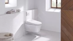 Geberit Omega20 - Bedieningsplaat OMEGA20, Wit/goud 115.085.KK.1 -Badkamer Paradijs 3a00deea59930564c3b57297