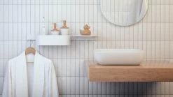 Hansgrohe WallStoris - Wandstang 700 Mm, Mat Wit 27904700 -Badkamer Paradijs 5bf6f797742e656a2fe21693 1