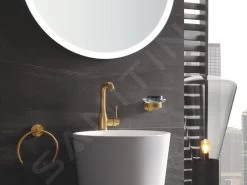 Grohe Essentials - Glas-/zeepschaalhouder, Geborsteld Cool Sunrise 40369GN1 -Badkamer Paradijs 673122d270af3bec144abcac