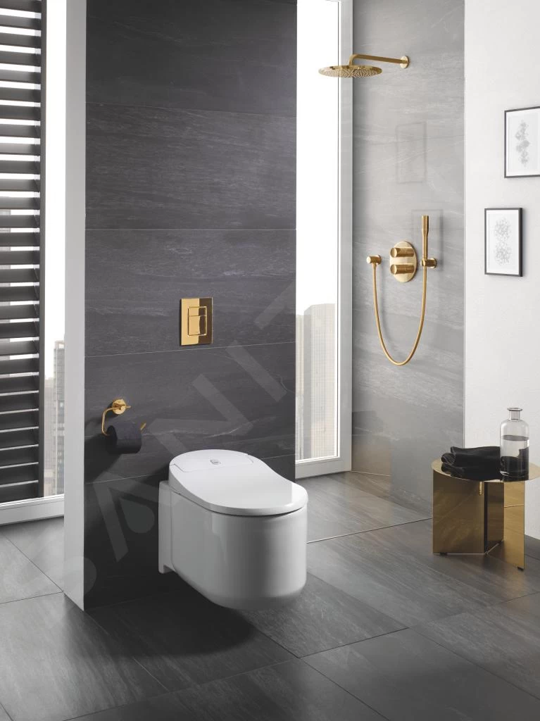 Grohe Rainshower Cosmopolitan - Hoofddouche Cosmopolitan 310 Met Douchearm, 1 Straalsoort, Cool Sunrise 26066GL0 6 Grohe Rainshower Cosmopolitan - Hoofddouche Cosmopolitan 310 Met Douchearm, 1 Straalsoort, Cool Sunrise 26066GL0 - Afbeelding 4